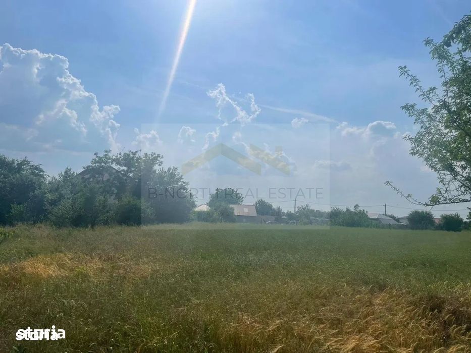 Teren intravilan de vânzare Cernica – Tânganu | 4 loturi x 954 mp | In