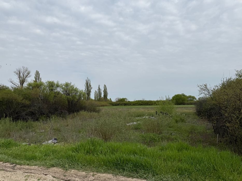 Proprietar, vând urgent teren intravilan 600 mp, lângă DJ591, Sânmihaiu Român – preț negociabil!