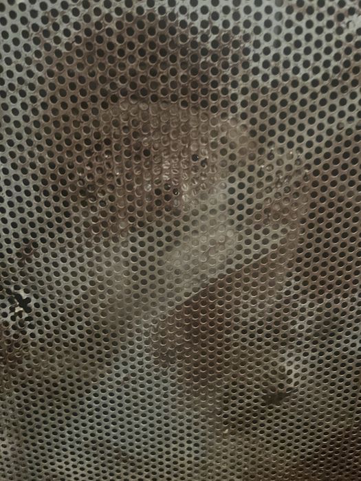 Продам щенка девочка