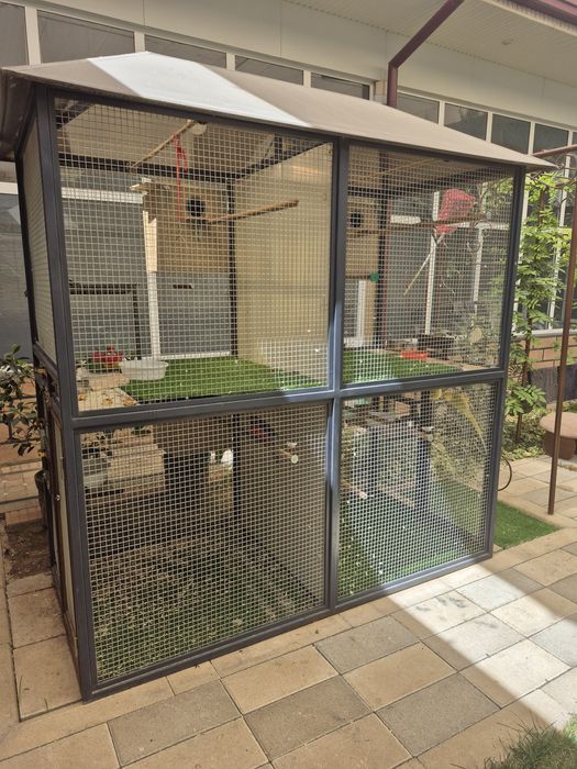 Тути кафаси ва тутилар сотилади.