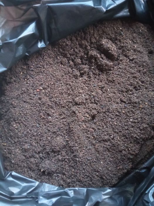 Optom biogumus sotiladi