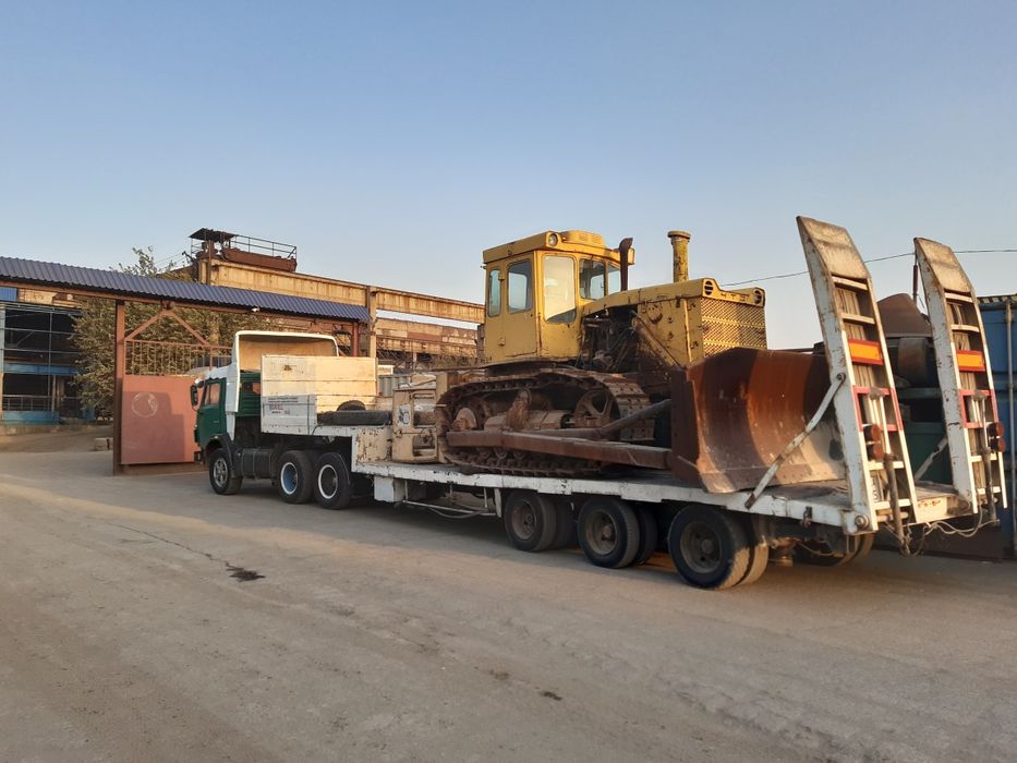 Услуга трал цена дог