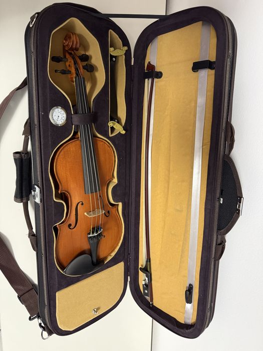 Vioara 1/2 Gliga