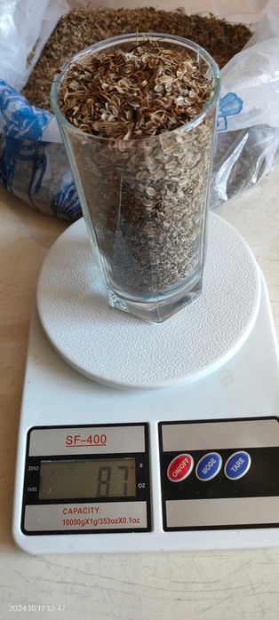 Семена дачного укропа