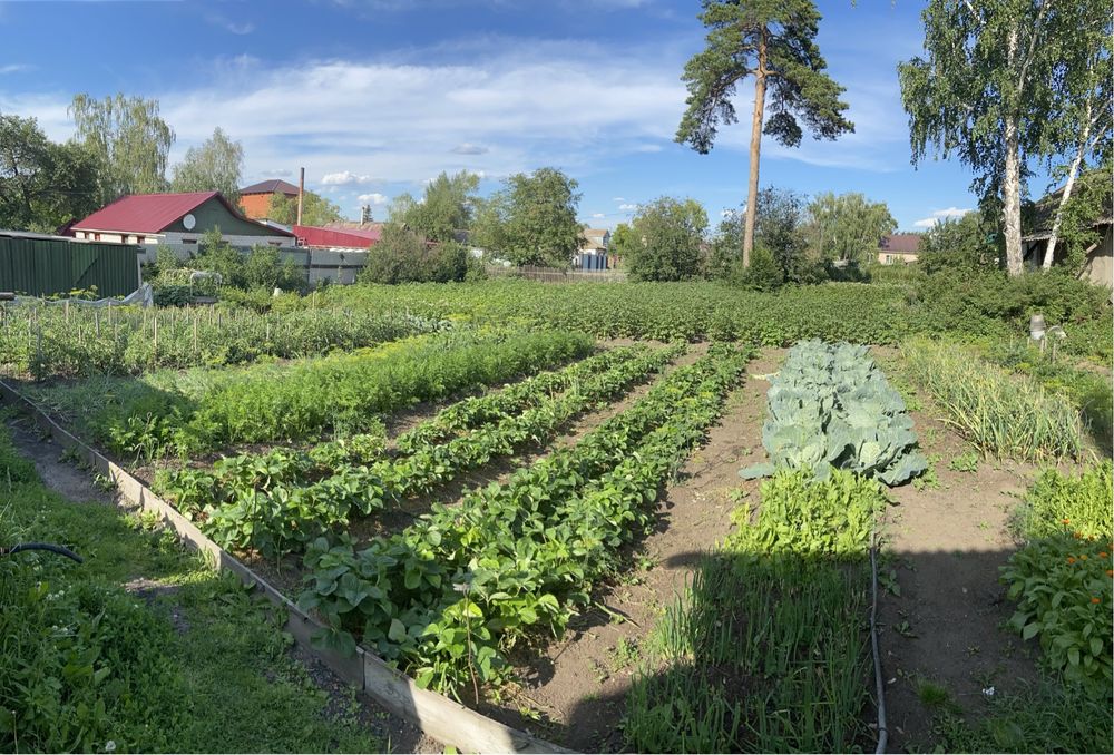 Продам дом в живописном месте города Щучинска