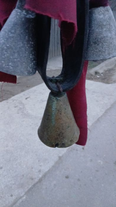 Salba cu clopoței vechi de vânzare