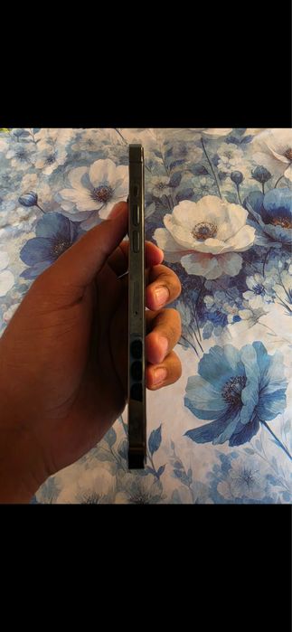 Vand iphone iPhone 12 Pro Max