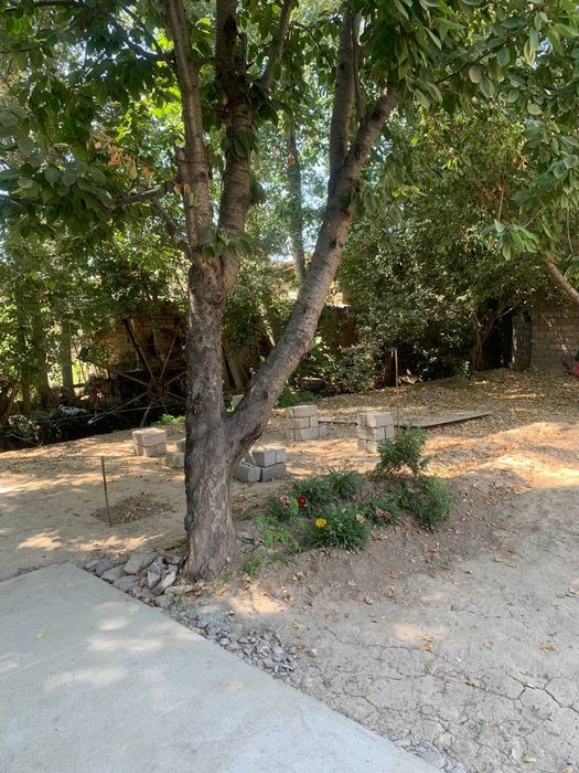 Toshkent vil O'rta Saroy