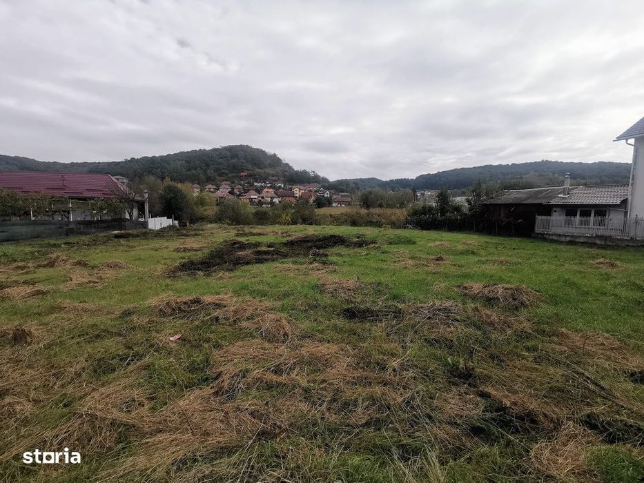 Teren intravilan de vanzare - Medias