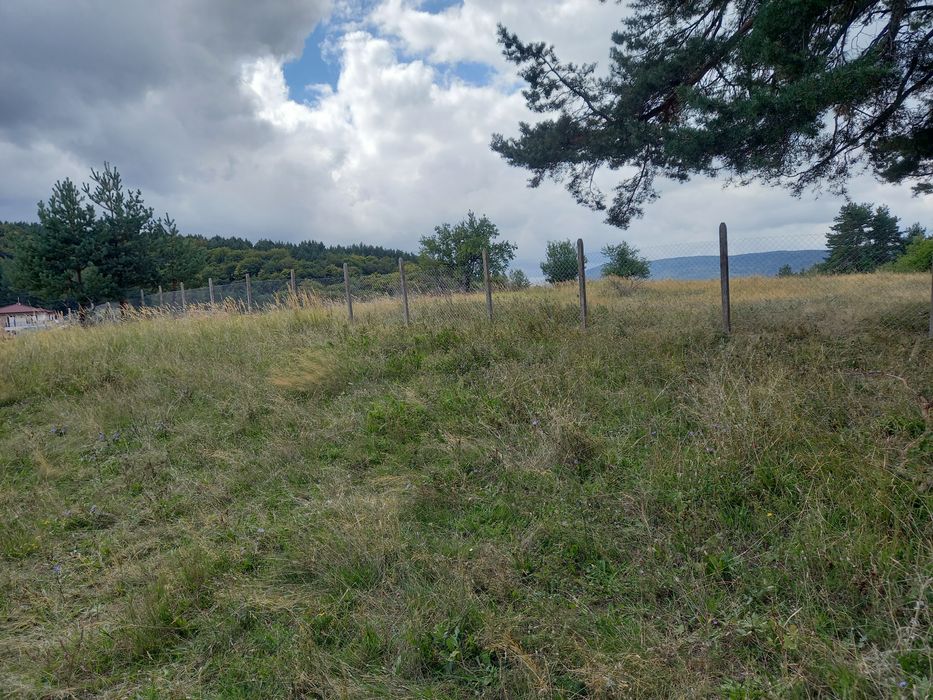 Изграждане на огради с циментови колове и поцинкована мрежа