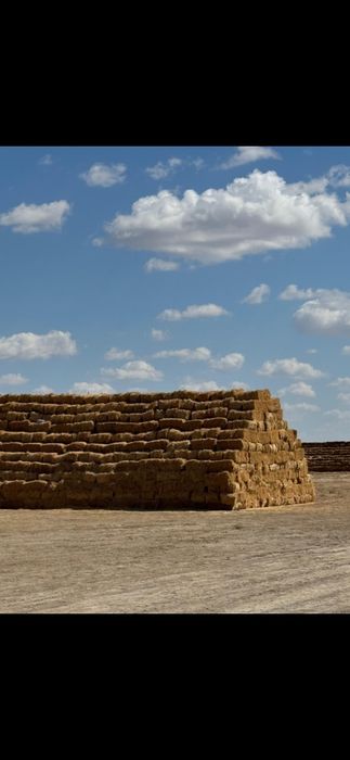 Сено Люцерны Жоңышқа пішені