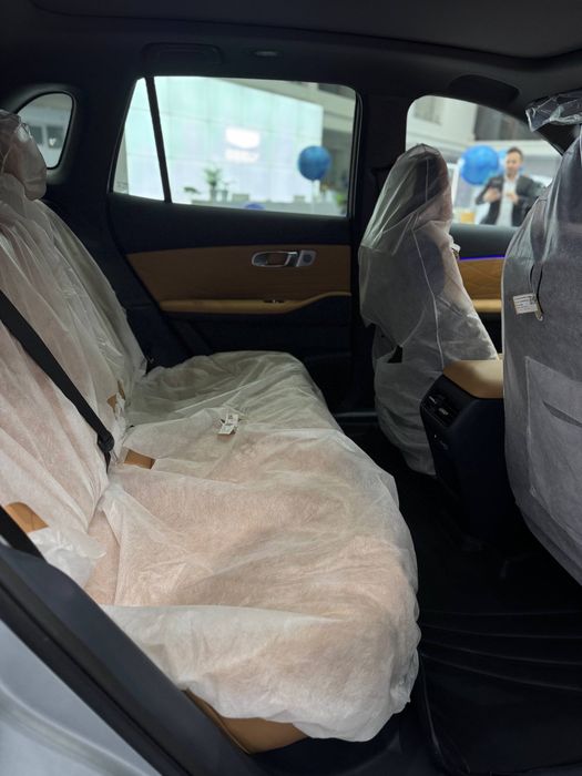 Kia, BYD or Geely EX5 EM-I