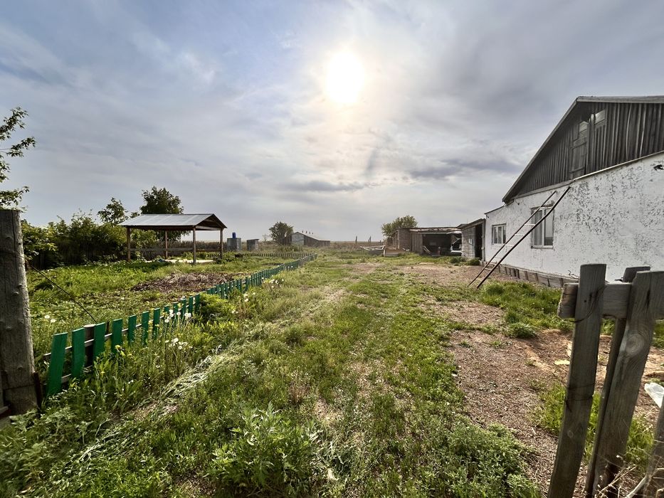 Продам дом и откормочную базу.