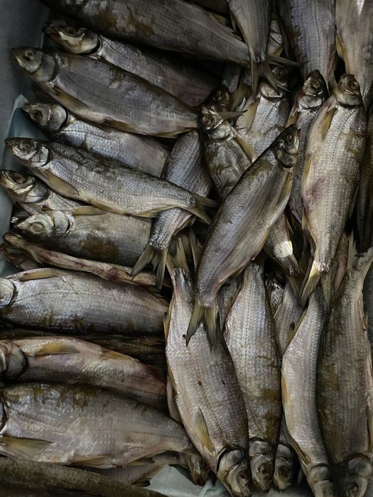 Рыбец выленый малосольный