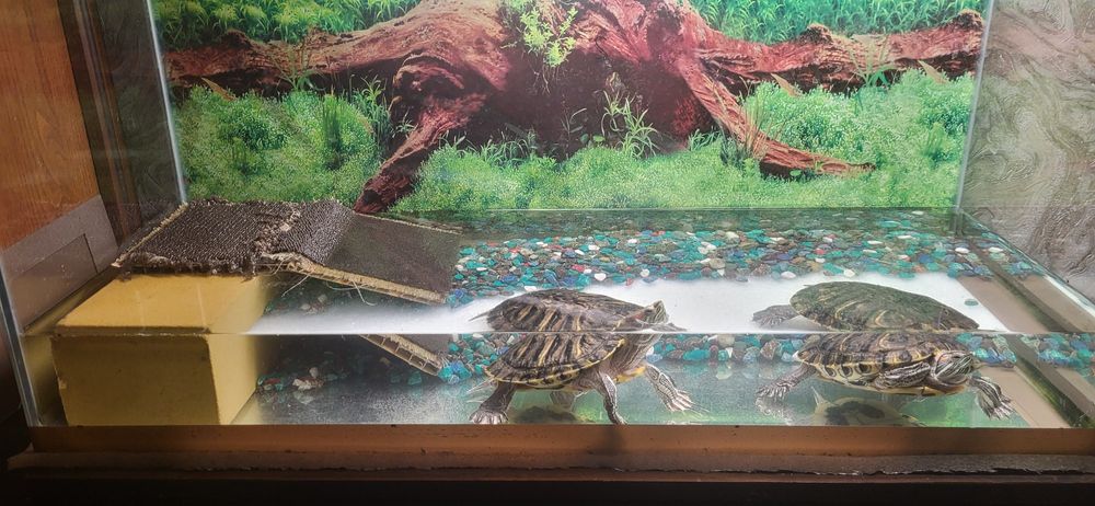 СРОЧНО Продам аквариум объём 100 литров