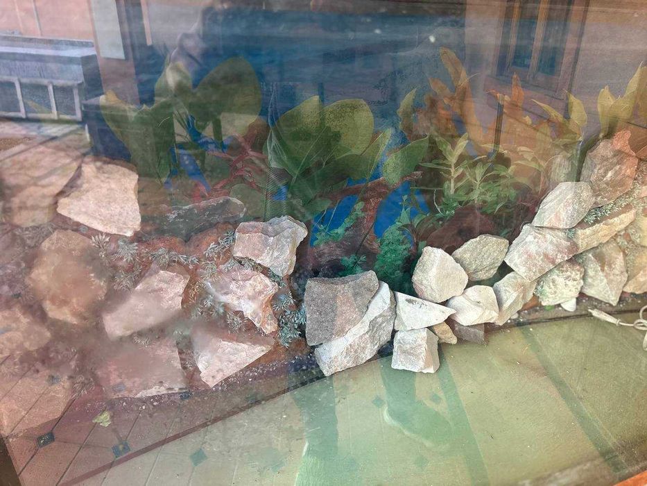 Продаётся большой аквариум - идеально для создания подводного мира!