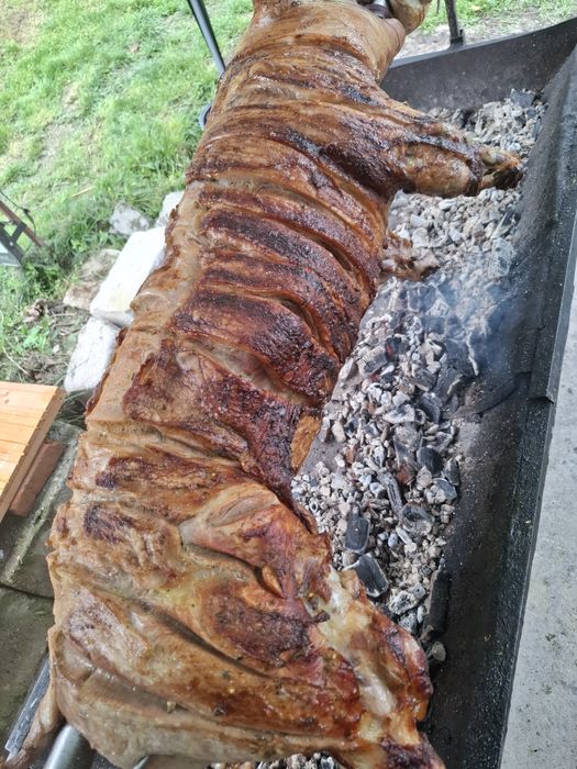 Proțap porc oaie pui.