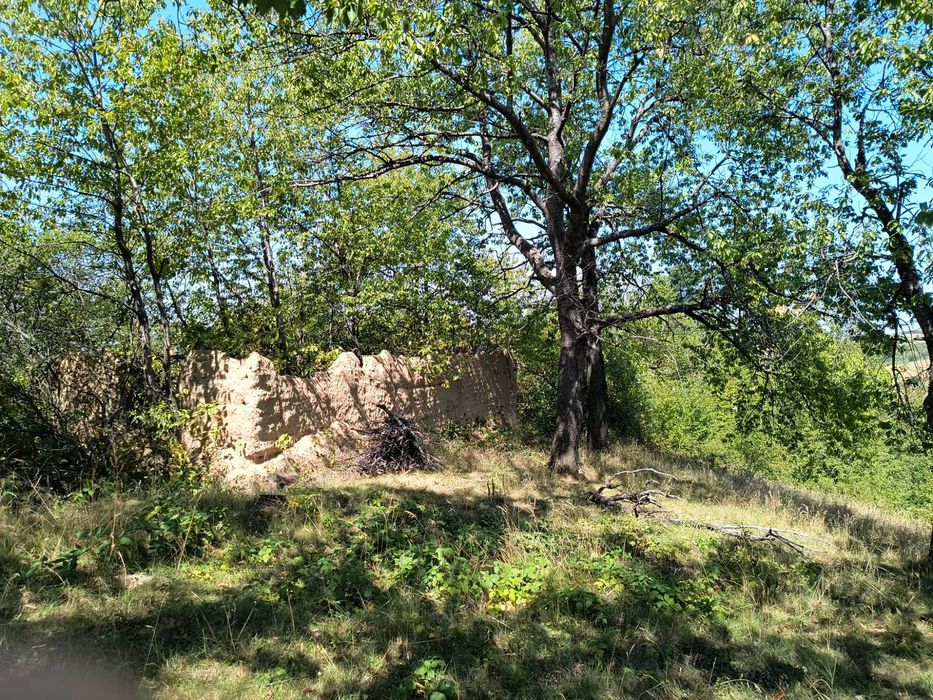 Teren 1.5 Ha în zonă de munte