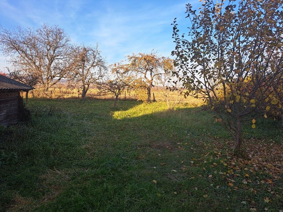 Vând casă batraneasca