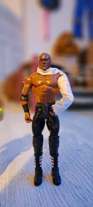 Haine Figurine WWE Personalizate
