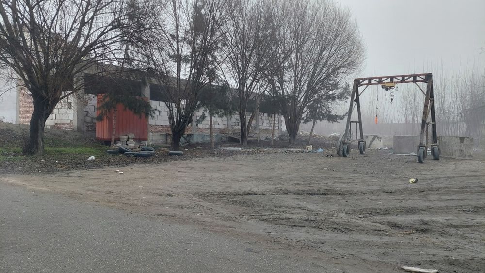 Noturar joy binosi bor