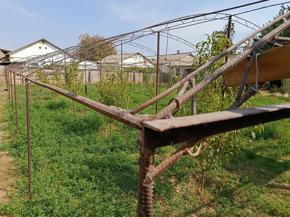 Теплица , Иссикхона