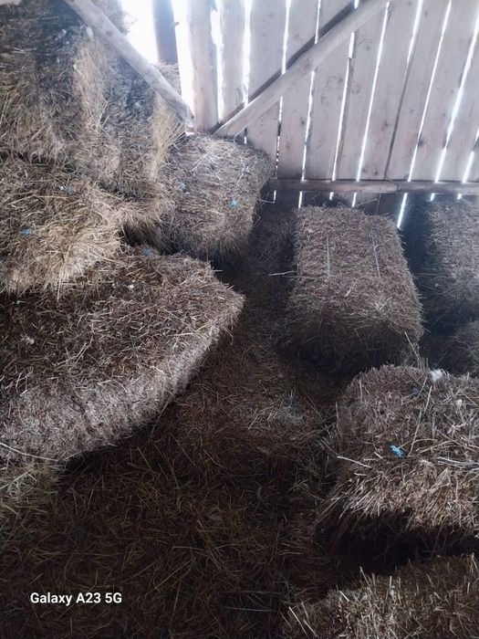 Vând paie baloți și trifoi baloți