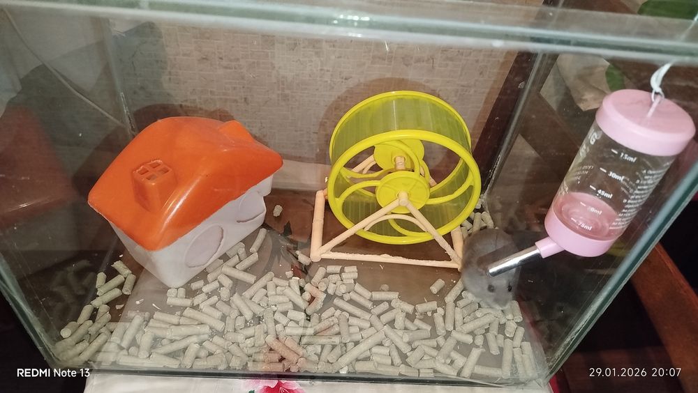 Набор для хомячков