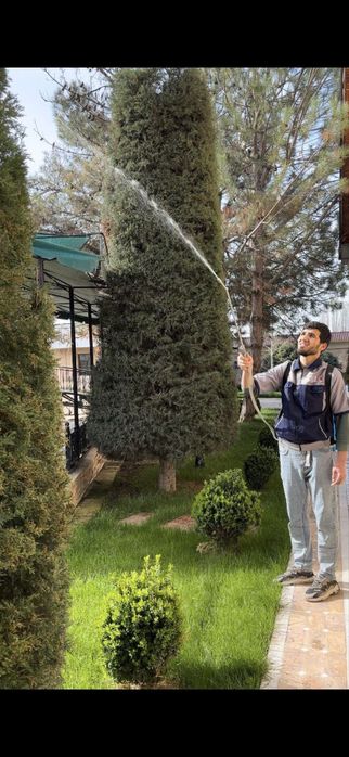 Dezinfeksiya дезинфекция 24/7 dizinfeksiya клапа таракан klapa tarakan