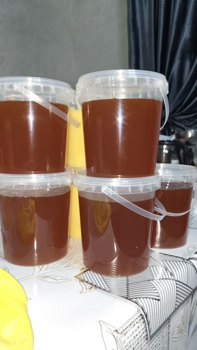 Мёд из Усть-Камаменогорска