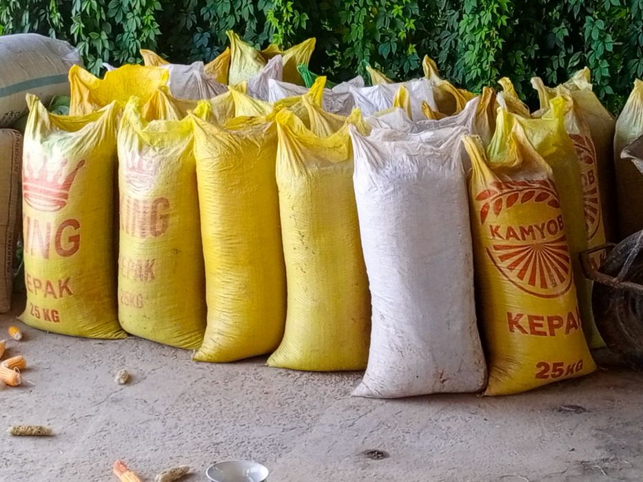 Қўй гўнги, кой гонг навоз сотилади