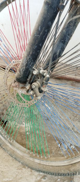 Velosioed. Forword, tuzatib haydadh uchun zoʻr tanlov.