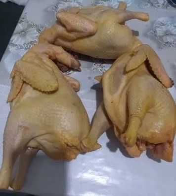 Продам мясо домашних петушков