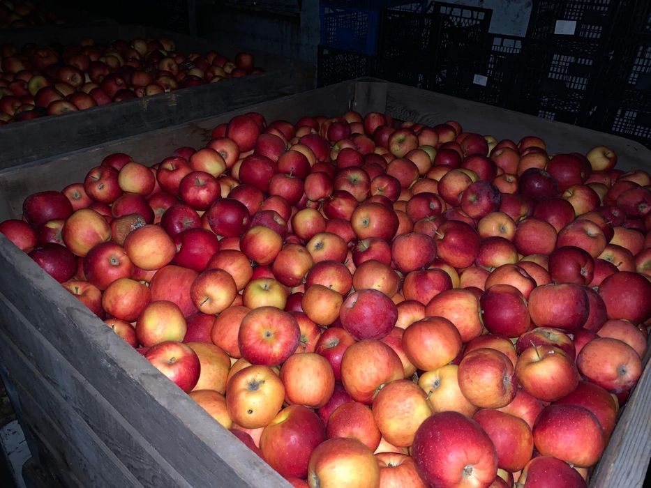 Vand mere florina si idared