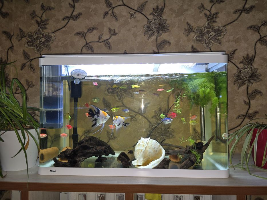 Продам аквариум фирмы Атман! Только без рыб как брал по заводу