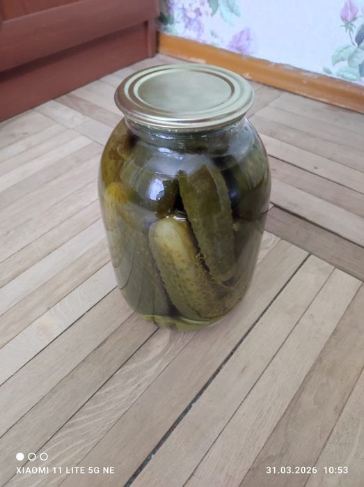 Продам огурцы юг