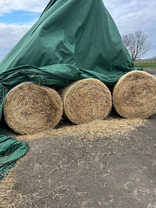 baloti paie de orz, mazare si tocatura