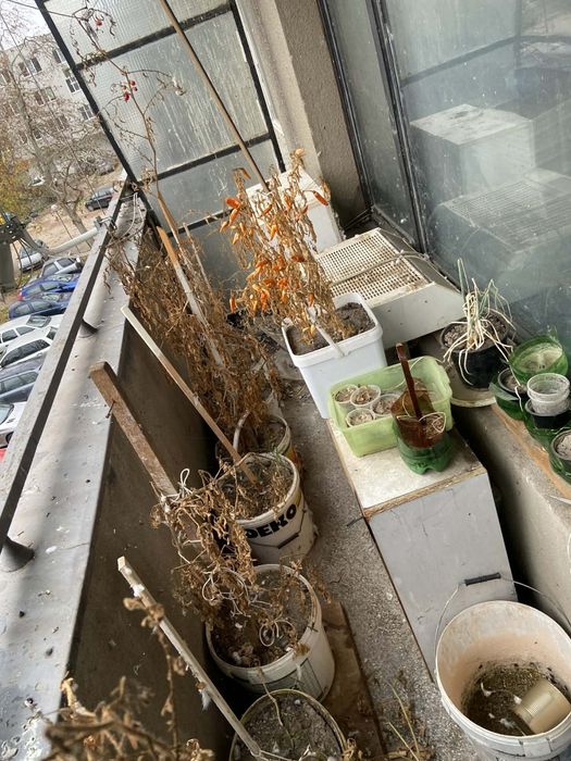 Изпразване и почистване  на апартаменти мъзи