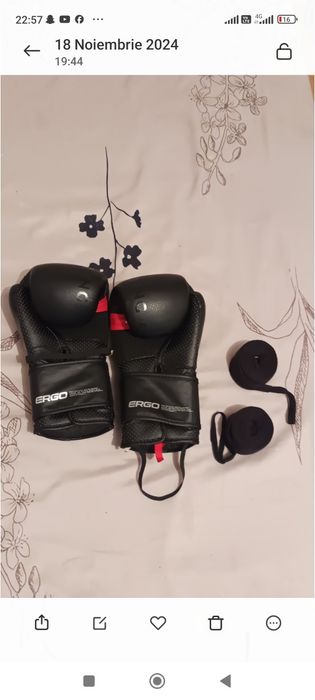 Vand sac de box cu masnusi si fase