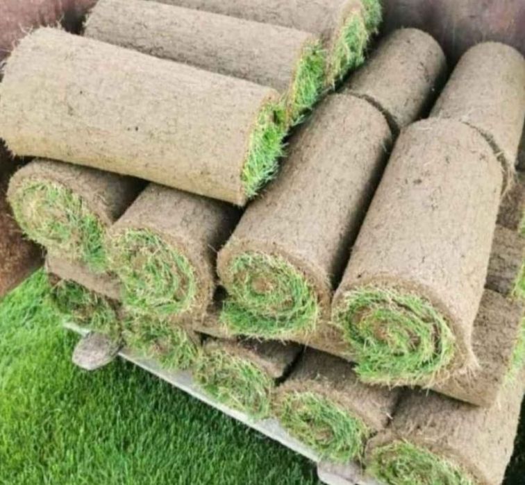 Gazon rulou, Amnajam grădinii de la A/Z, Gazon rulou etc