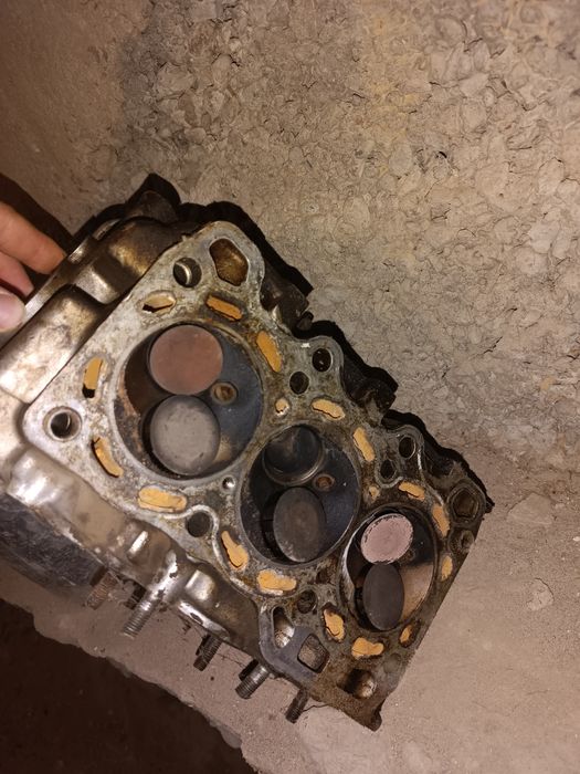 damas galofka  sotladi