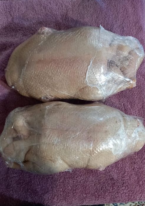 Утка тушки, продам мясо утки, за кг 2800, утка бройлерная, много мясо