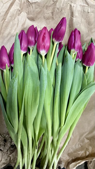 Тюльпаны в розницу доставка цветы