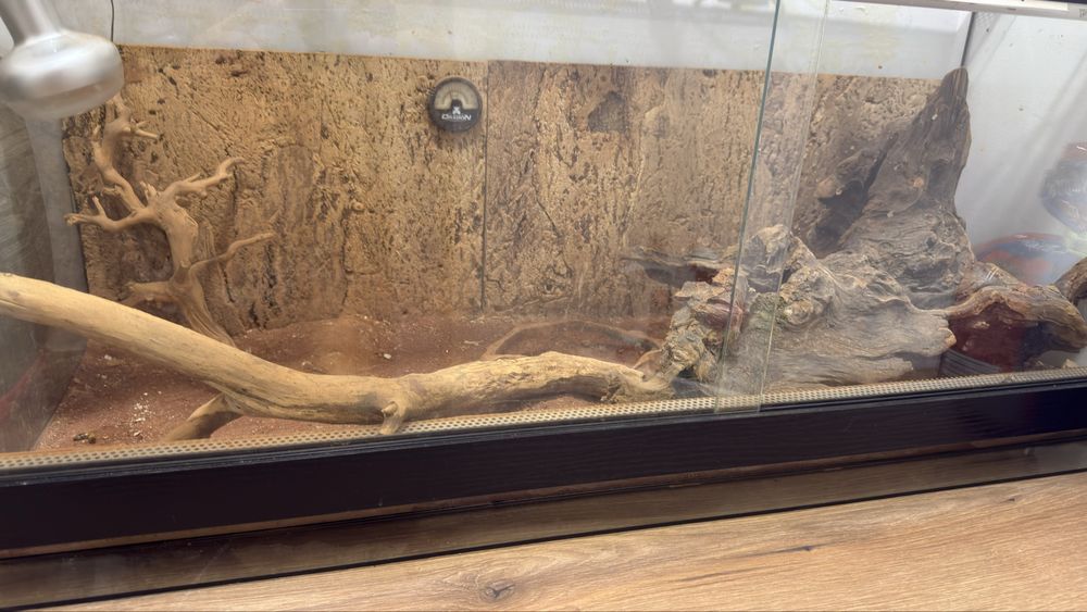 Терариум за гущери