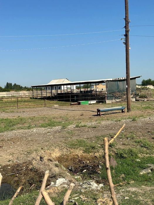 Ferma sotiladi!!!  Ишлаб турган 5 - гектар ферма сотилади 380.000 $