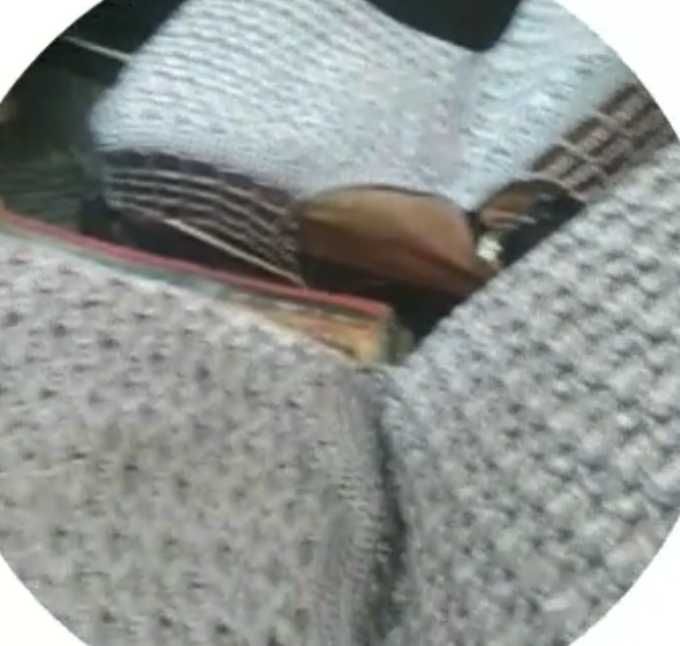 Продается Волга Газ 31029