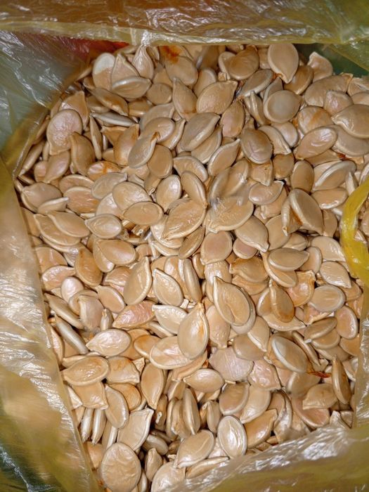 Продам тыквенные семечки.
