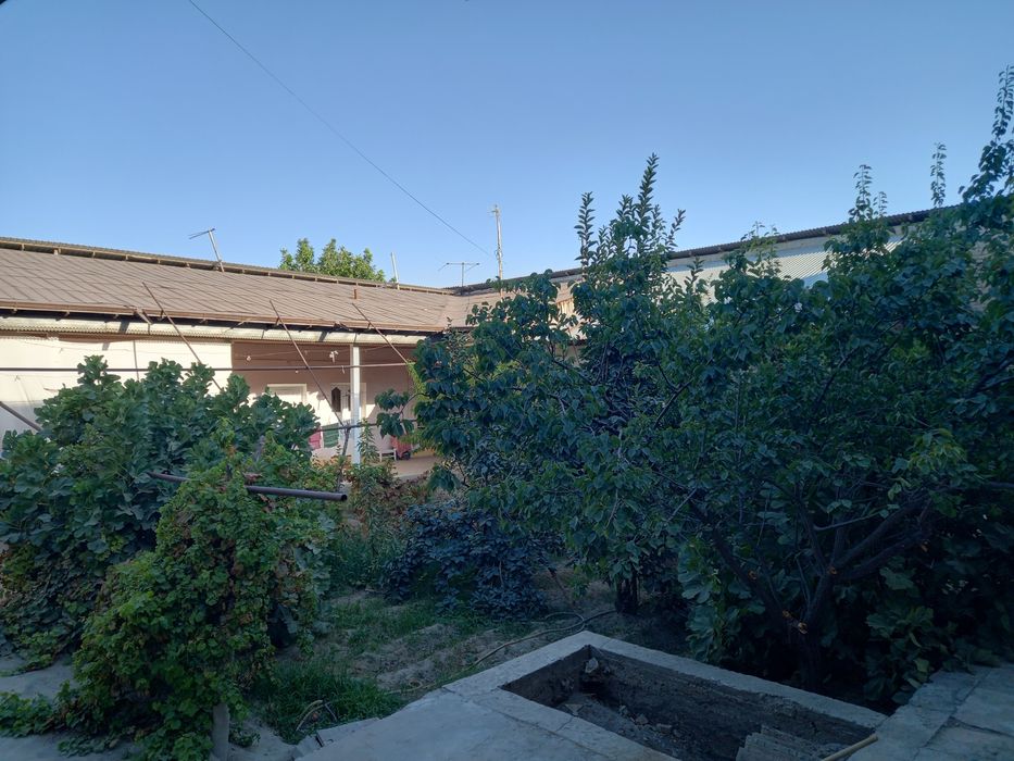 5 xona savdosi bor.