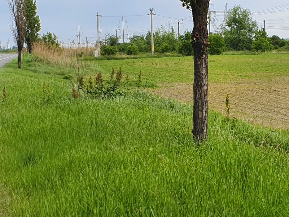 Teren Racaciuni DN2 E85 9300 m2