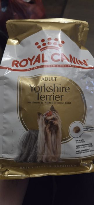 Корм для собак, йоркширские терьеры